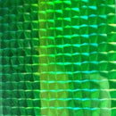 Envoltura en Espiral de Escamas de Pescado
