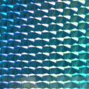 Envoltura en Espiral de Escamas de Pescado