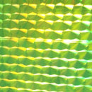 Envoltura en Espiral de Escamas de Pescado