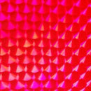 Envoltura en Espiral de Escamas de Pescado