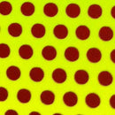 Envoltura para Bobina Polka Dots and Tiger Stripes