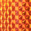 Envoltura en Espiral de Escamas de Pescado