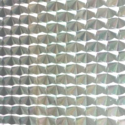 Envoltura en Espiral de Escamas de Pescado