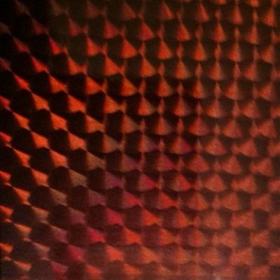 Envoltura en Espiral de Escamas de Pescado