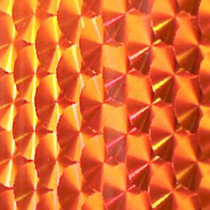 Envoltura en Espiral de Escamas de Pescado