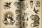 Libro "Legends Tattoo Flash" (Reimpresión 2018)